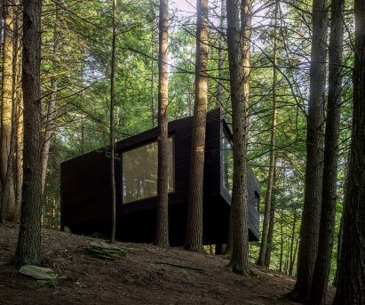 Tree House in New York by Jacobschang Architecture