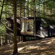 Tree House in New York by Jacobschang Architecture