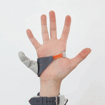 The Third Thumb by Danielle Clode