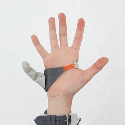 The Third Thumb by Danielle Clode