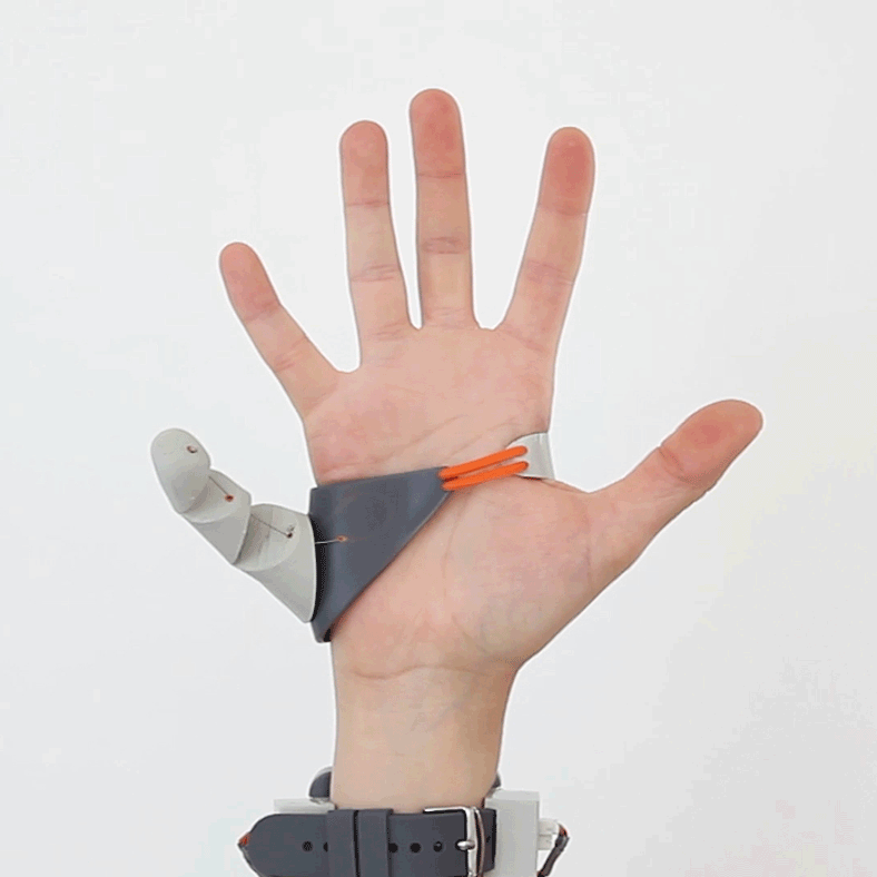 The Third Thumb by Danielle Clode