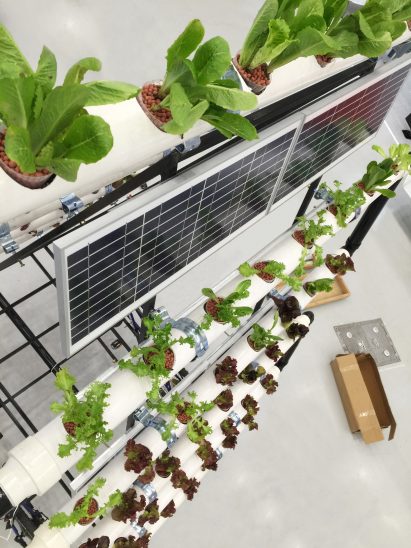 Bike Share Farm by People's Industrial Design Office