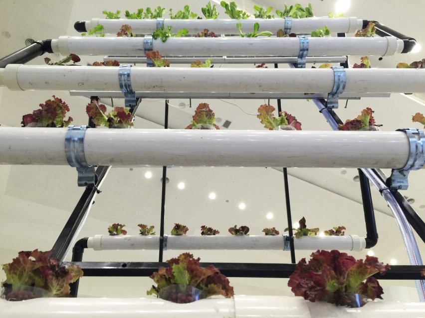Bike Share Farm by People's Industrial Design Office