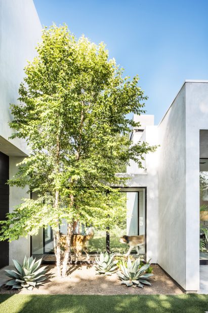 BV1 Residence by Wernerfield Architecture