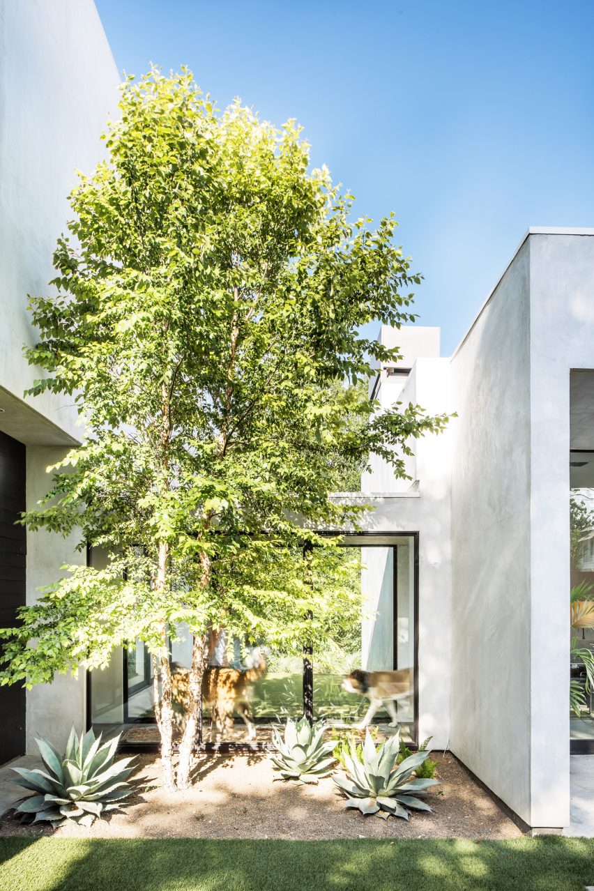 BV1 Residence by Wernerfield Architecture