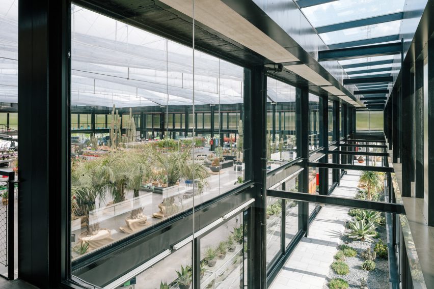 Garciagerman Arquitectos design cactus centre in Madrid