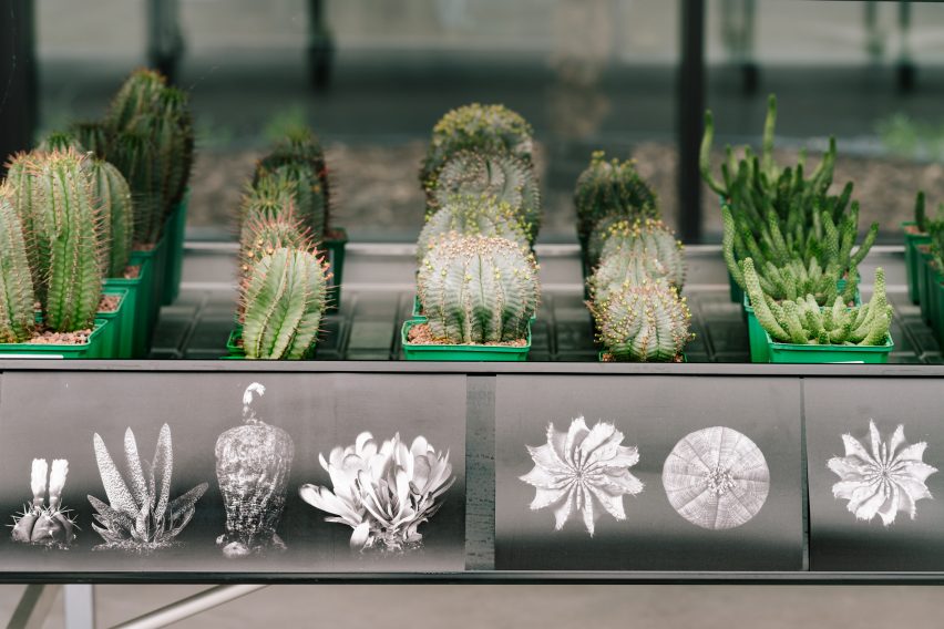 Garciagerman Arquitectos design cactus centre in Madrid