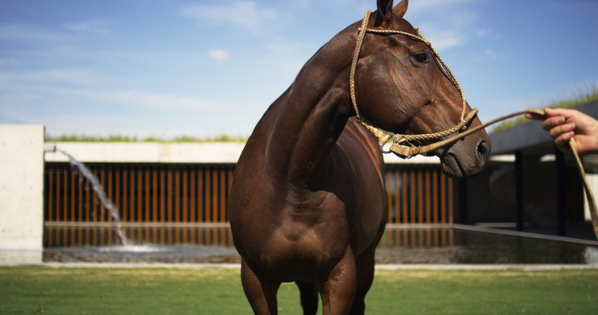 Figueras Polo Stables by Estudio Ramos