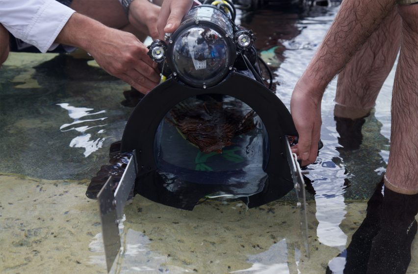 RSE Guardian LF1 robot humanely catches invasive lionfish