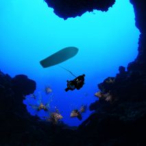 RSE Guardian LF1 robot humanely catches invasive lionfish