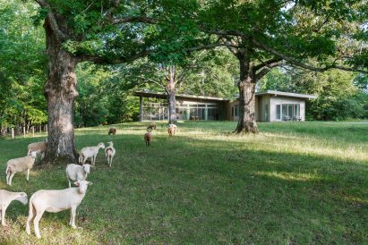 Hammock House by Samsel Architects
