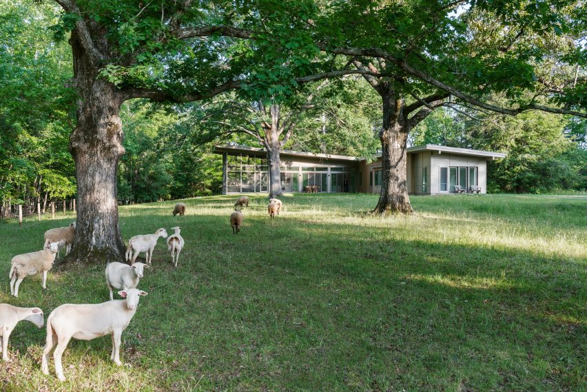 Hammock House by Samsel Architects