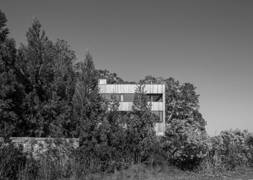 Island Creek by Cary Tamarkin