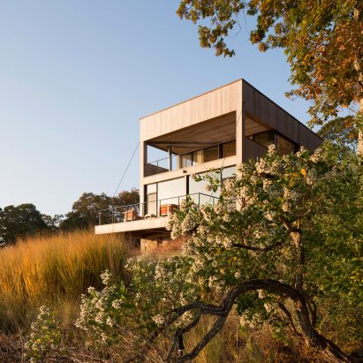Island Creek by Cary Tamarkin