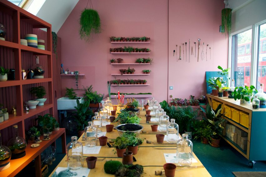 London Terrariums store by Isabel + Helen