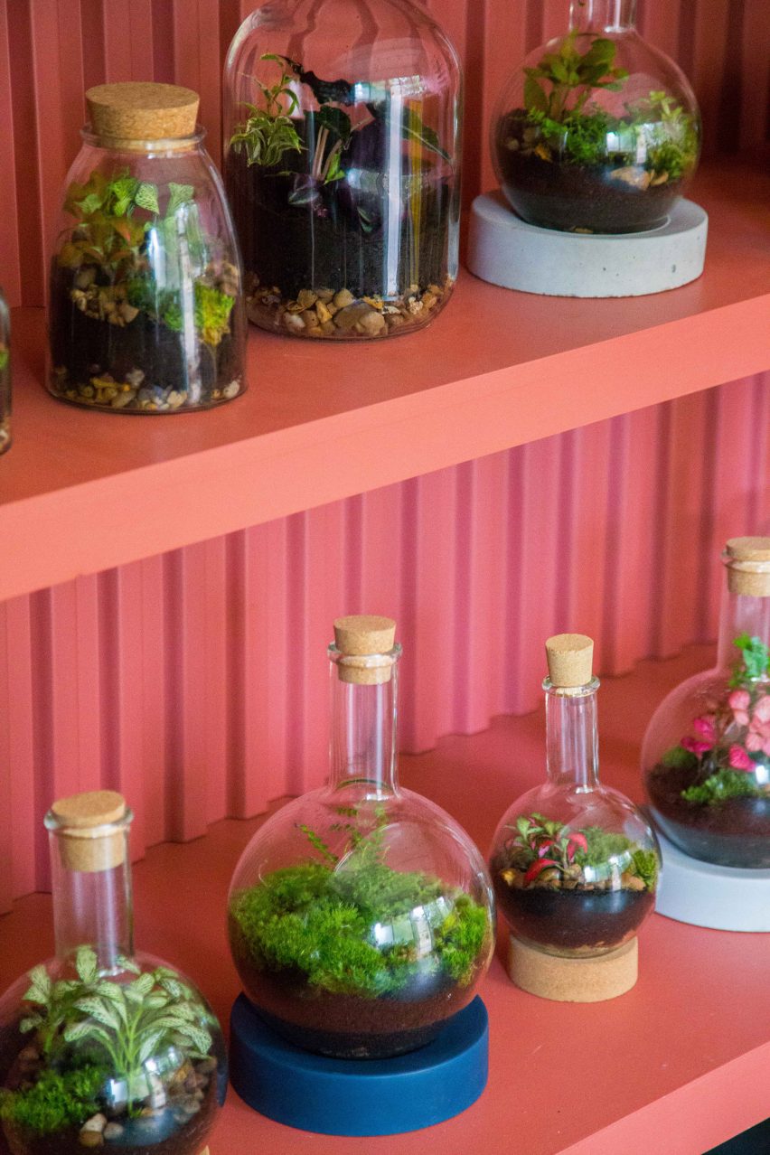 London Terrariums store by Isabel + Helen