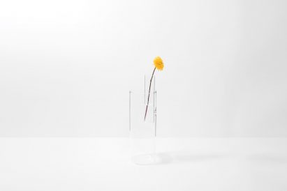 Organo vases by Moisés Hernández
