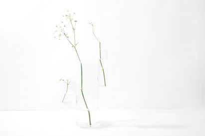 Organo vases by Moisés Hernández
