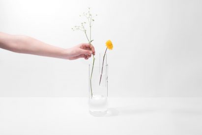 Organo vases by Moisés Hernández