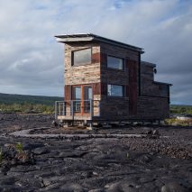Phoenix House by Will Beilharz