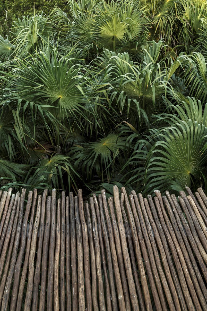 Tulum Treehouse by CO-LAB Design Office