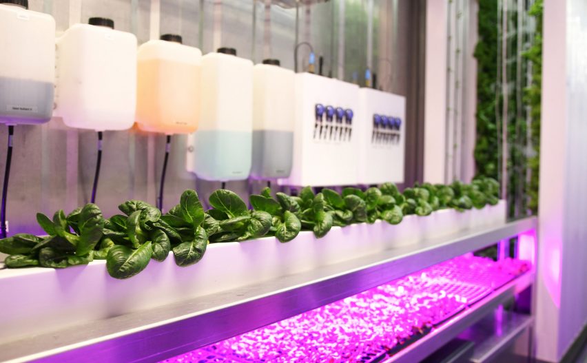 Freight Farms allow leafy greens to be grown in urban environments