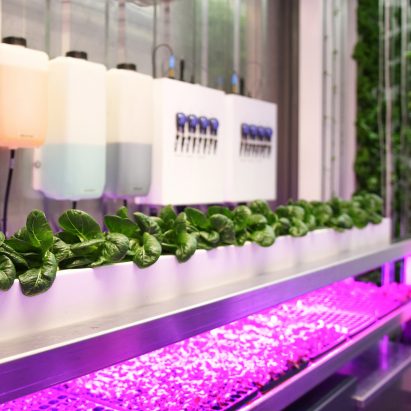 Freight Farms allow leafy greens to be grown in urban environments