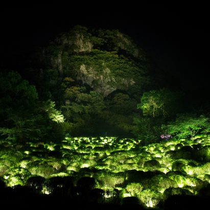 teamLab's installation is named A Forest Where Gods Live