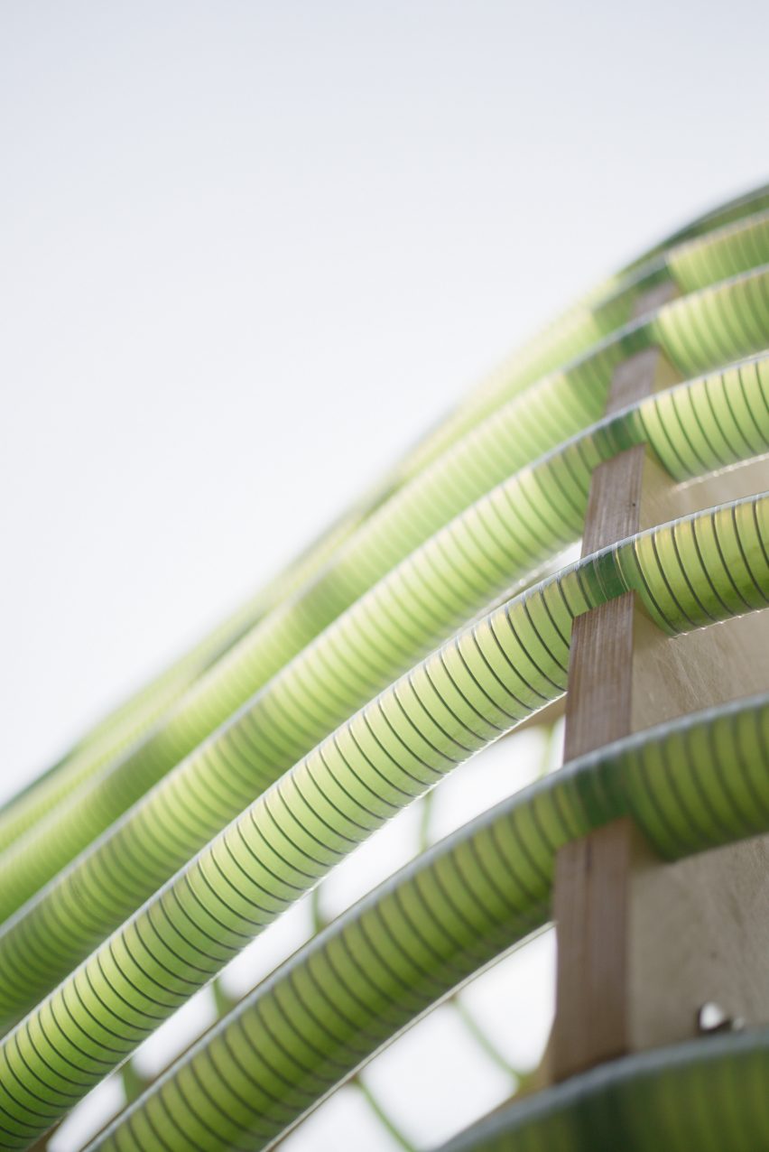 Space10 creates an algae-producing pavilion in Copenhagen