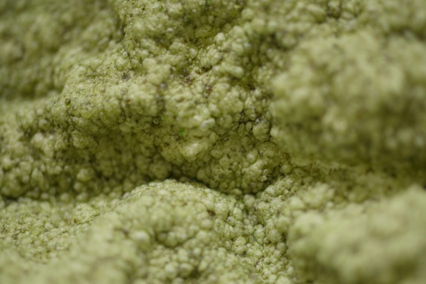 Space10 creates an algae-producing pavilion in Copenhagen