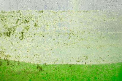 Space10 creates an algae-producing pavilion in Copenhagen