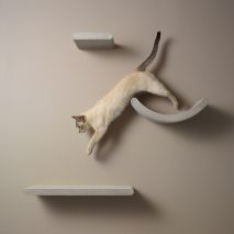 Dote uses recycled materials to create range of minimal accessories for cats