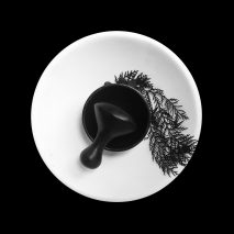 Mortar and Pestle by David Del Valle