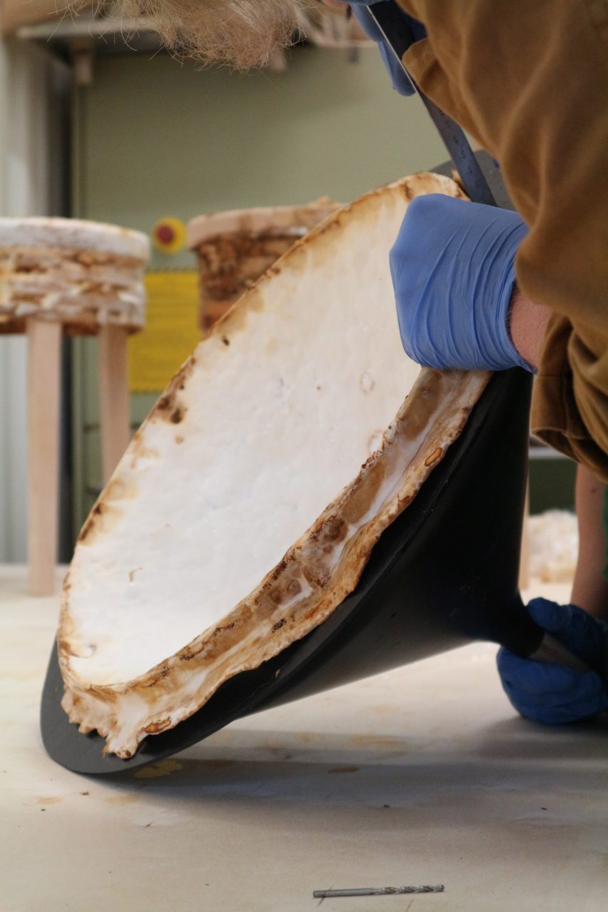 Mushroom mycelium used to create suede-like furniture by Sebastian Cox and Ninela Ivanova