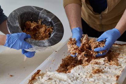 Mushroom mycelium used to create suede-like furniture by Sebastian Cox and Ninela Ivanova