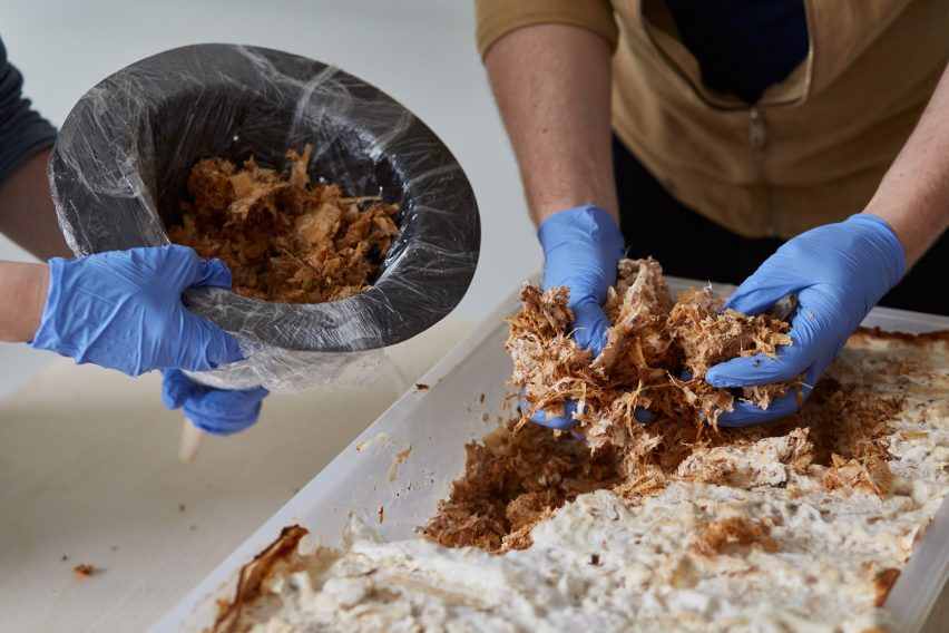 Mushroom mycelium used to create suede-like furniture by Sebastian Cox and Ninela Ivanova