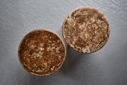 Mushroom mycelium used to create suede-like furniture by Sebastian Cox and Ninela Ivanova