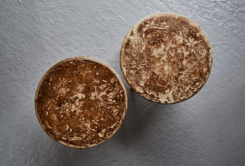 Mushroom mycelium used to create suede-like furniture by Sebastian Cox and Ninela Ivanova