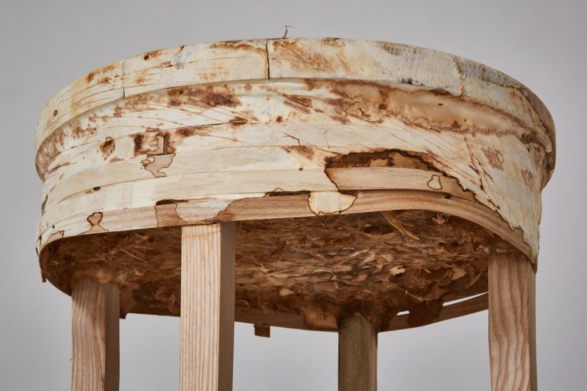 Mushroom mycelium used to create suede-like furniture by Sebastian Cox and Ninela Ivanova
