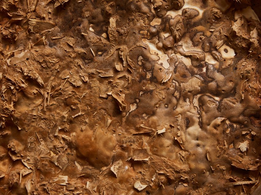 Mushroom mycelium used to create suede-like furniture by Sebastian Cox and Ninela Ivanova