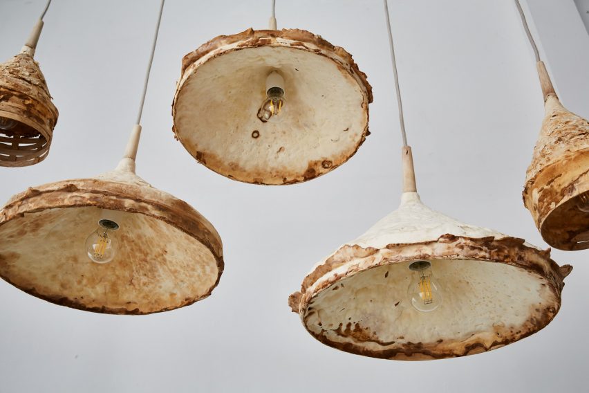 Mushroom mycelium used to create suede-like furniture by Sebastian Cox and Ninela Ivanova