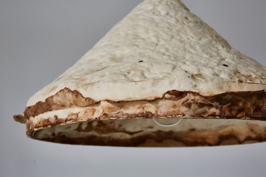 Mushroom mycelium used to create suede-like furniture by Sebastian Cox and Ninela Ivanova