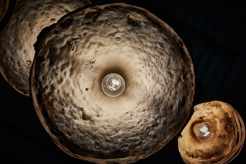 Mushroom mycelium used to create suede-like furniture by Sebastian Cox and Ninela Ivanova