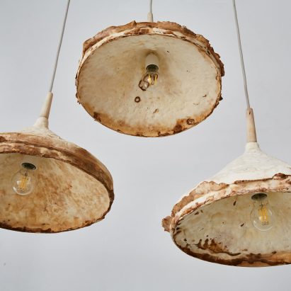 Latest Dezeen Mail features mycelium furniture and Heatherwick’s Zeitz MOCAA