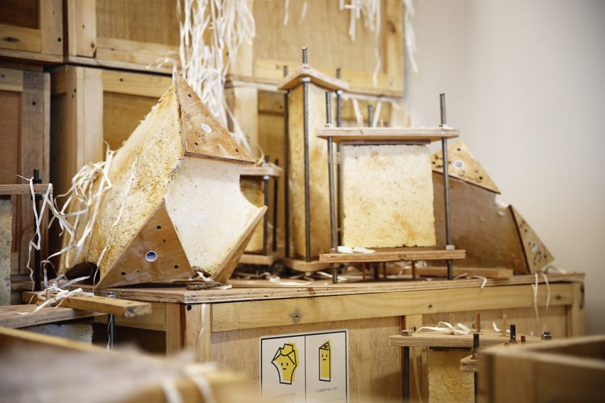 Engineers Dirk Hebel and Philippe Block use fungi to build self-supporting structures