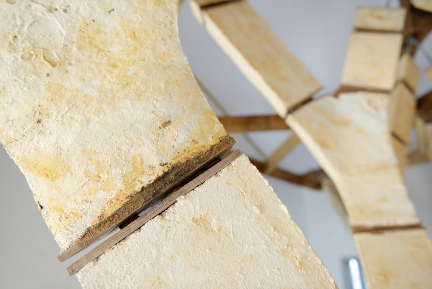 Engineers Dirk Hebel and Philippe Block use fungi to build self-supporting structures