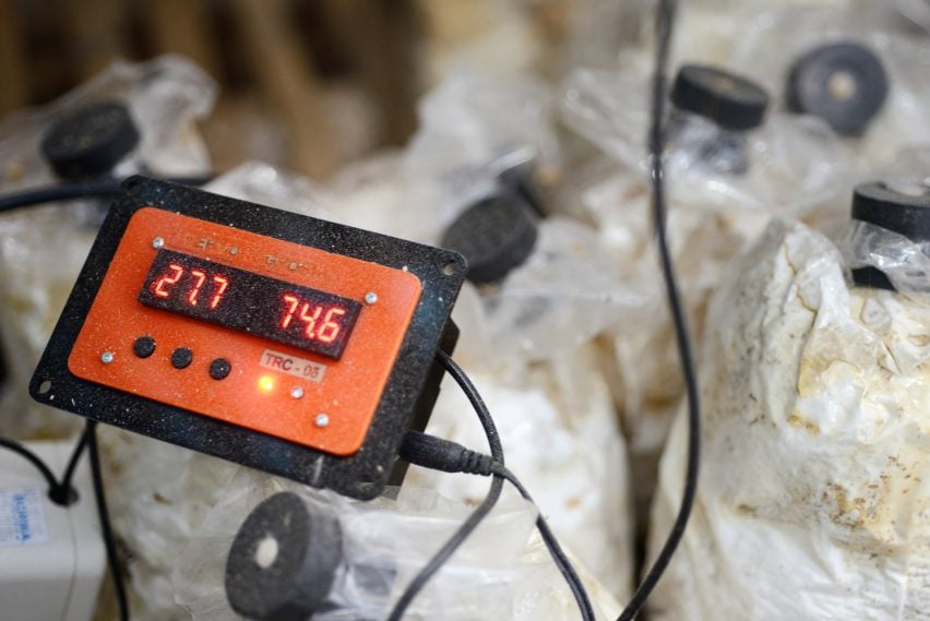 Engineers Dirk Hebel and Philippe Block use fungi to build self-supporting structures