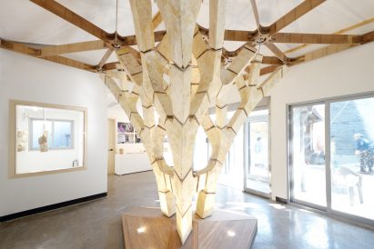 Engineers Dirk Hebel and Philippe Block use fungi to build self-supporting structures
