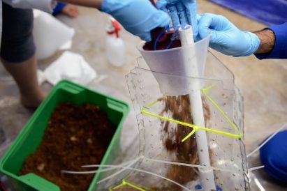 Engineers Dirk Hebel and Philippe Block use fungi to build self-supporting structures