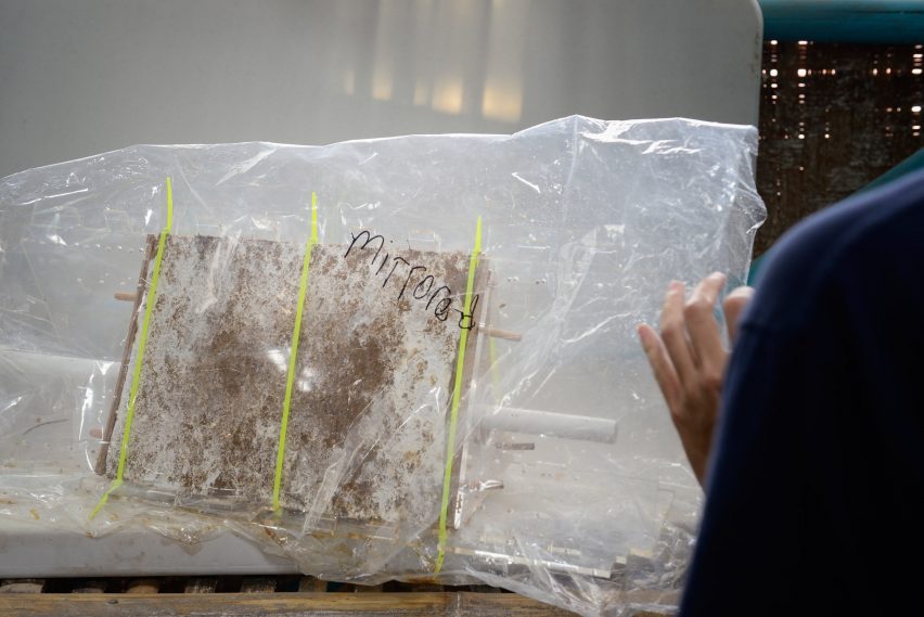 Engineers Dirk Hebel and Philippe Block use fungi to build self-supporting structures
